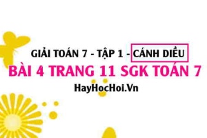 Giải bài 4 trang 11 Toán 7 Tập 1 SGK Cánh Diều